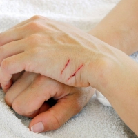 ��������