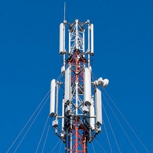 ����� ������� �����