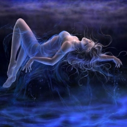 ��������������