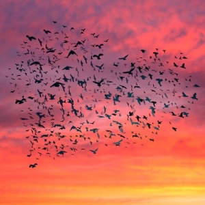 ���� ����