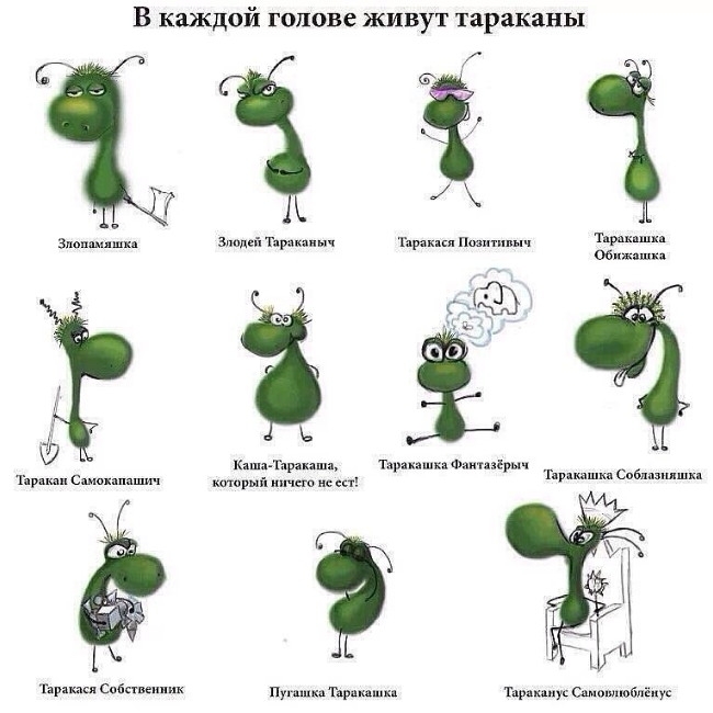 ���� ����������