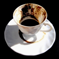 ������� �� �������� ����