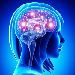 ���� ��������