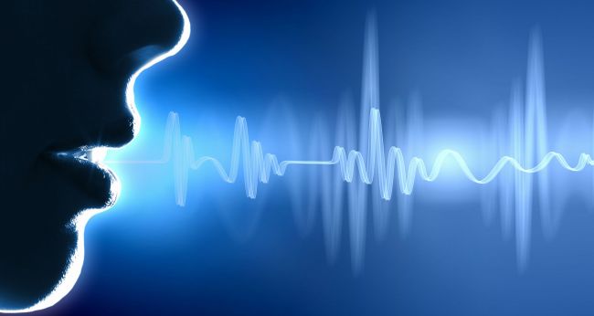 �������� ���������