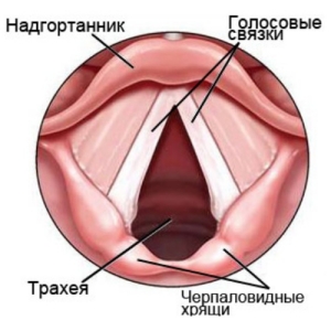 ��������� ������