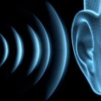 �������� �����