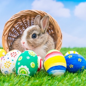 ���������� ������