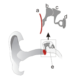 �������� ���