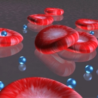 ����������