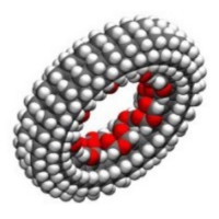 �������������
�������������
�������������