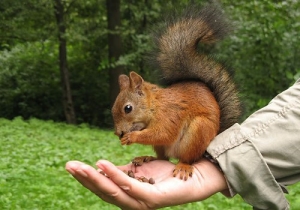 �������