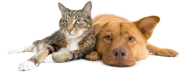 ����� � ������