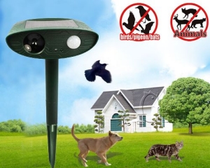 ������������