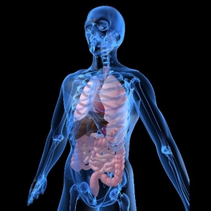 ��������� ���������