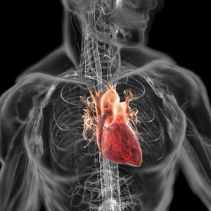 �������������� ������������