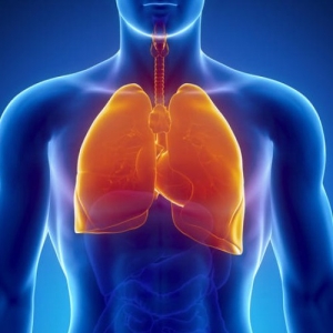 �������������� ������������