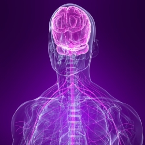 �������������� ������������