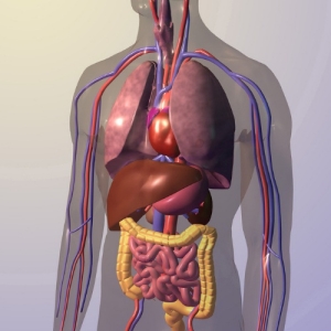 �������������� ������������