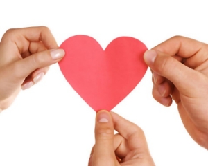 �������� �����������