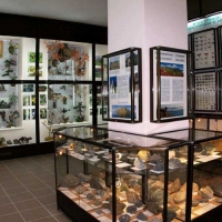 �����, ��������