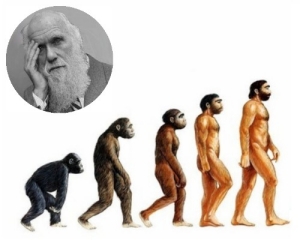 ������ �������