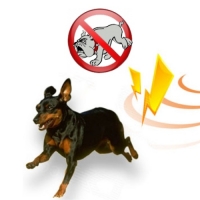 ������������ ��������