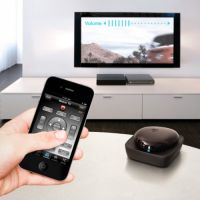 ����� ����������