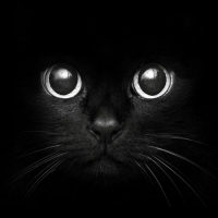 ׸���� �����