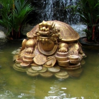 ���� ��������