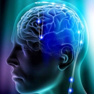 ���� ��������