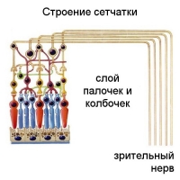 �������� ��������