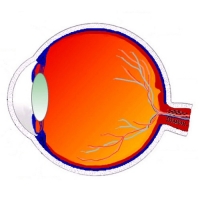 �������� �����