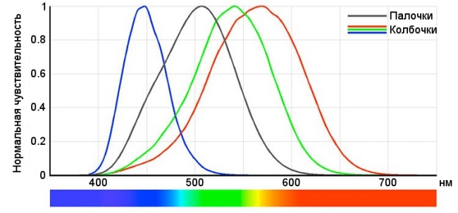 SML ��������