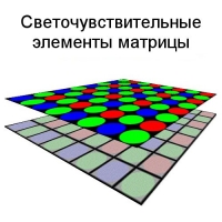 ������������������� �������